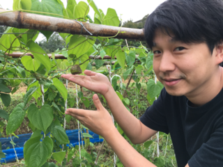 滋賀特産のスーパーフード「宇宙芋」を全国に届けたい！ のトップ画像