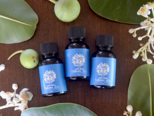 池間島の美しい自然と暮らしを守る、タマヌオイルを商品化したい のトップ画像