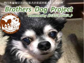 西日本豪雨災害を後世に伝えるため、兄弟犬の実話を絵本にしたい のトップ画像