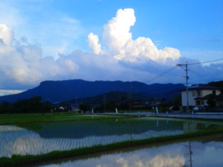 八幡信仰始まりの場 大分県八面山の猪川内岩屋堂を修復したい！ のトップ画像