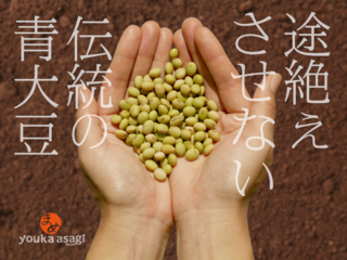 兵庫八鹿伝統の青大豆を途絶えさせない。天然醸造味噌を広めたい のトップ画像
