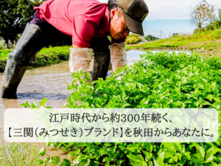秋田の若手農家の起業を応援し、あなたも農園オーナーに！ のトップ画像