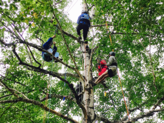 北海道十勝の子どもに本物の木登り（ツリーイング）をしてほしい のトップ画像