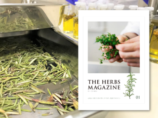 髪の美と健康を守る「髪とハーブの情報紙」を発刊したい のトップ画像