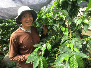 沖縄県の大宜味村でコーヒーを栽培し将来の特産品にしたい！ のトップ画像