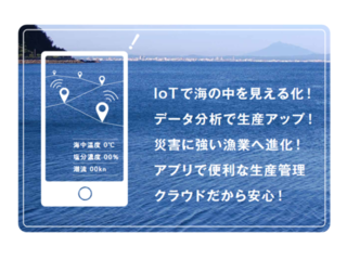 陸奥湾のホタテを守りたい!ホタテ養殖×IoTで新しい漁業へ！ のトップ画像