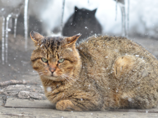 ネクストゴール達成しました！！