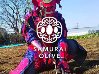 城下町佐倉発「侍オリーブ」で和食にあうオリーブの食文化を発信 のトップ画像