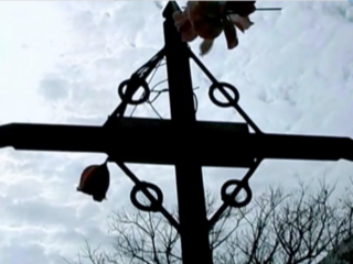 ラテンアメリカ映画『天から落ちてきた男』字幕作成にご支援を！ のトップ画像