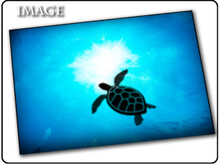 海中から見る太陽の光と色々なシルエット【ドームライト】 のトップ画像