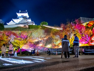 高校生が街を元気に！掛川城プロジェクションマッピング のトップ画像