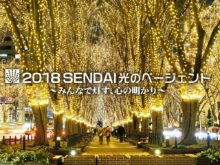 冬の仙台のケヤキ並木を照らす光のページェント開催！