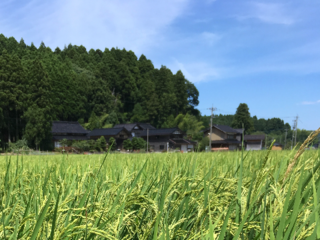 第一回体験会開催地が決定しました！