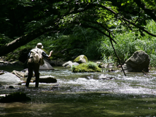 『釣りと旅と友情のフライフィッシングムービー』を制作したい！ のトップ画像