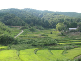 大阪のてっぺんで自然豊かな風景みつけた！ のトップ画像