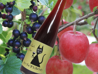 青森のカシスを全国に！りんごとカシスでワインを作りたい！