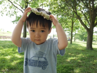 自主性を育てるモンテッソーリの教室を開講したい！ のトップ画像