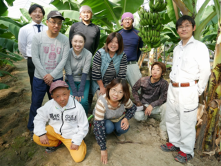 純国産おかやまバナナの栽培とB型就労施設とのコラボレーション のトップ画像