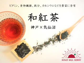 【気仙沼と共に歩む】桑の和紅茶で健康に！毎日飲める優しい風味