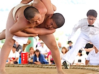 第43回江戸川区わんぱく相撲を、地域で作り上げる大会にしたい！ のトップ画像