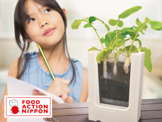 観察体験+食育+農業支援「土の中が見える畑」を届けたい！ のトップ画像