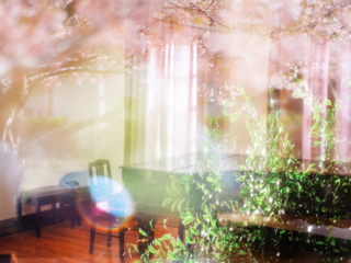 水害で断念したCD制作を母校の日本最古のピアノで実現したい！ のトップ画像