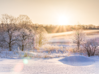 冬こそ、十勝！知る人ぞ知る魅力を動画で世界中に発信したい！ のトップ画像