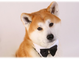 公開から10日経ちました！