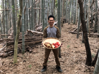 トマトを食べて竹林をエネルギーに！「食」が起点の循環型社会。 のトップ画像