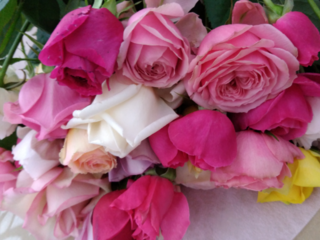 これまでなかった新品種の薔薇を開発し、日常を素敵に彩りたい！ のトップ画像