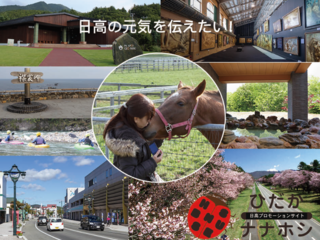 日高の人にフォーカスしたプロモーションサイトを作りたい！ のトップ画像