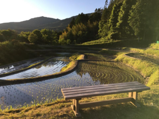 貴重な「クレイシ棚田」を、継続して保存運営される観光資源へ！ のトップ画像