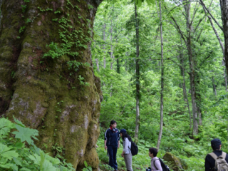焚火しずく塾で秘めたる想い語り合おう。