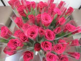 病気や要介護の高齢者に情熱と感謝を込めて赤いバラ千本を贈りたい