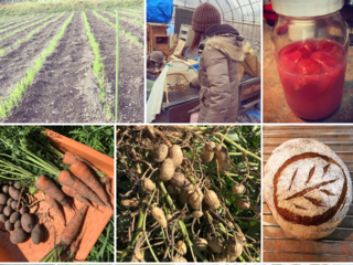 素材から手作り。無農薬自然栽培の農家がパンを焼くパン工房を！ のトップ画像