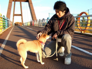 ペットシッターサービスを利用してみませんか？ のトップ画像