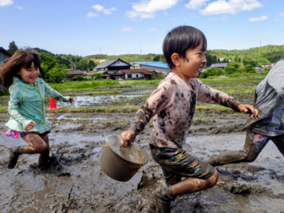 自然と共に過ごす、森のようちえん。10周年記念の本を出版！ のトップ画像