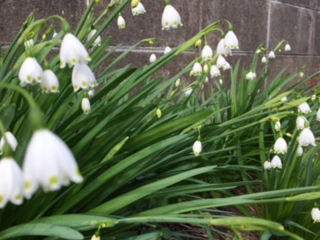 子どもの「育ちづらさがあっても」を応援したい！ のトップ画像