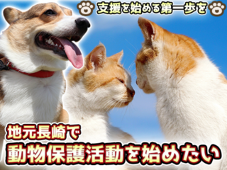 少しでも動物殺処分を減らせるように。動物保護活動を始めたい。 のトップ画像