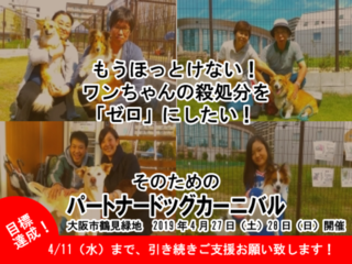 もうほっとけない！ワンちゃんの殺処分を「ゼロ」にしたい！ のトップ画像