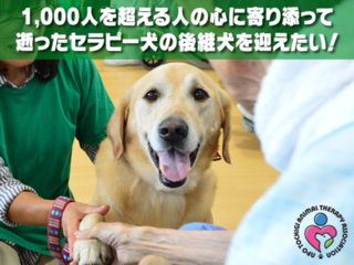 1,000人の心に寄り添ったセラピー犬の後継犬を迎えたい！