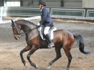 義足の馬術選手の挑戦。パラリンピック出場を左右する大会出場へ のトップ画像