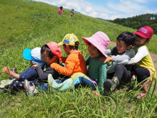 １００人に聞いた！森のようちえんの魅力を伝える冊子を作りたい のトップ画像