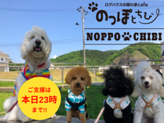 犬も飼い主も癒される空間を！多賀城市にドッグカフェを開店！