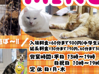 保護猫カフェの健全な運営とボランティアの拠点めざす第一歩 のトップ画像