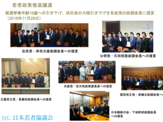 若い政治家を増やす為に被選挙年齢の18歳引下げを実現したい！ のトップ画像