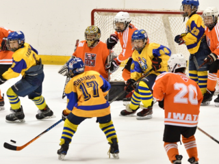 震災復興支援！第9回豊橋カップ小学生アイスホッケー大会開催！ のトップ画像