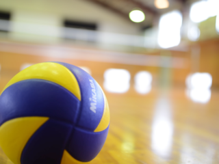 暴力問題の解決に向けて "教育・スポーツ文化研究所"の開設 のトップ画像