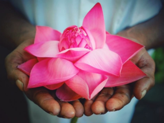 身・食・心。全てをケアできるスタジオを金沢に作りたい！ のトップ画像