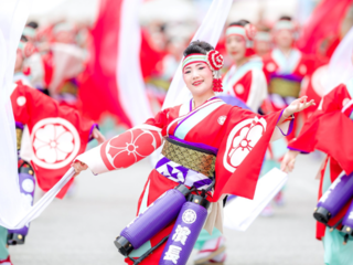 存続の危機を乗り越え10周年。よさこいの伝統をこれからも。 のトップ画像